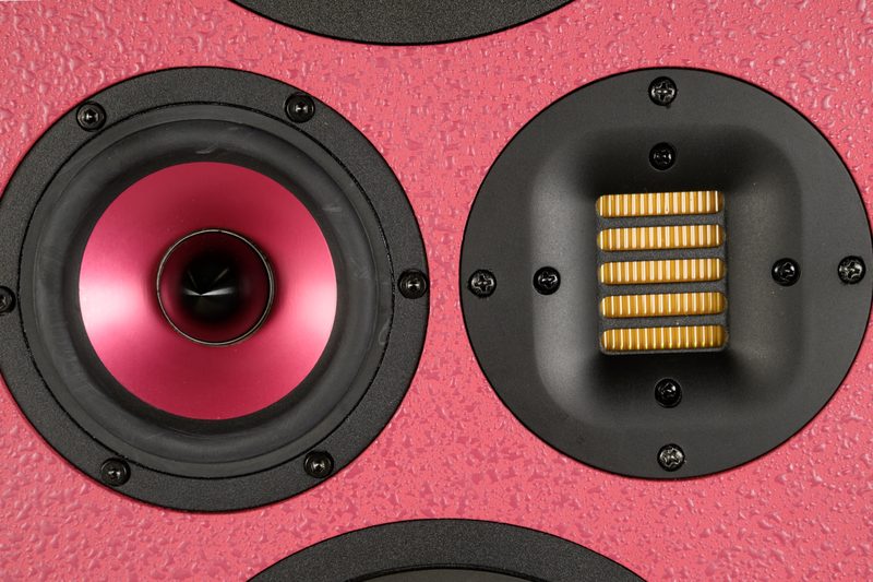 Pink SAS Acoustics speaker baffle with ribbon tweeter, close-up